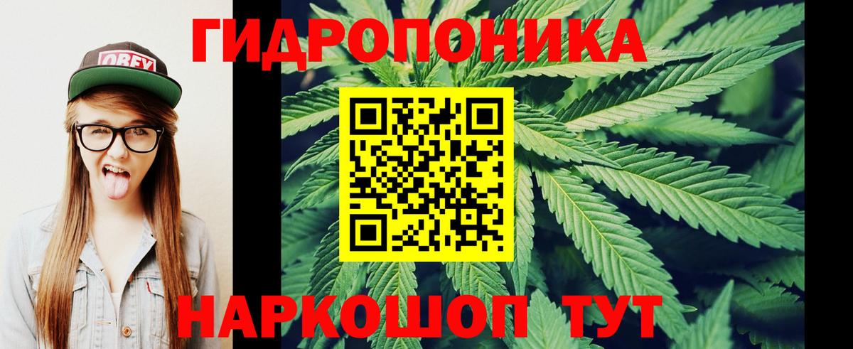 Бошки Шишки ГИДРОПОН Скопин